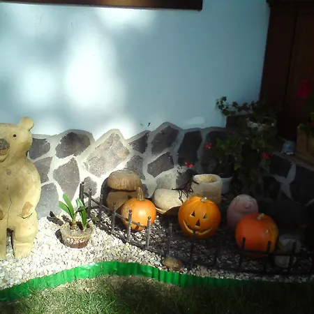 Pensjonat Martinov Dvor 3*